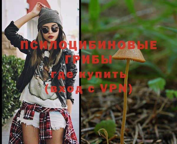 мяу мяу мука Белокуриха