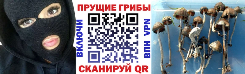 хочу Тольятти Галлюциногенные грибы Magic Shrooms